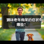猫咪老年痴呆的症状有哪些?(图4) 猫咪老年痴呆的症状有哪些?(图4)