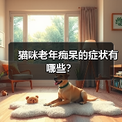 猫咪老年痴呆的症状有哪些?(图1) 猫咪老年痴呆的症状有哪些?(图1)