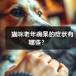 猫咪老年痴呆的症状有哪些?(图3) 猫咪老年痴呆的症状有哪些?(图3)
