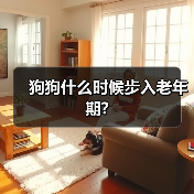 狗狗什么时候步入老年期?(图3) 狗狗什么时候步入老年期?(图3)
