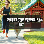 猫咪打疫苗后要查抗体吗?(图4) 猫咪打疫苗后要查抗体吗?(图4)