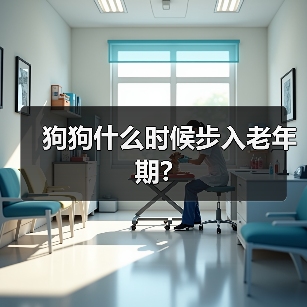 狗狗什么时候步入老年期?(图4) 狗狗什么时候步入老年期?(图4)