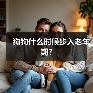 狗狗什么时候步入老年期?(图1) 狗狗什么时候步入老年期?(图1)