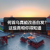 何首乌真能改善白发?这些真相你得知道(图1) 何首乌真能改善白发?这些真相你得知道(图1)