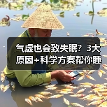 气虚也会致失眠?3大原因+科学方案帮你睡安稳(图1) 气虚也会致失眠?3大原因+科学方案帮你睡安稳(图1)