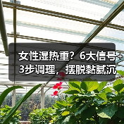 女性湿热重?6大信号+3步调理,摆脱黏腻沉重(图1) 女性湿热重?6大信号+3步调理,摆脱黏腻沉重(图1)