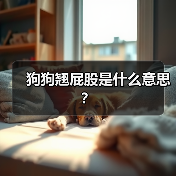 狗狗翘屁股是什么意思？(图4)