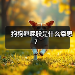 狗狗翘屁股是什么意思？(图3)