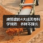 脾阴虚的4大成因与科学预防:养脾不踩坑(图1) 脾阴虚的4大成因与科学预防:养脾不踩坑(图1)