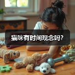 猫咪有时间观念吗?(图3) 猫咪有时间观念吗?(图3)