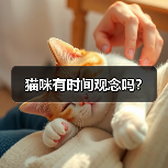 猫咪有时间观念吗?(图2) 猫咪有时间观念吗?(图2)