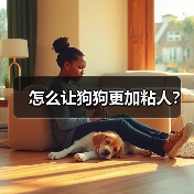 怎么让狗狗更加粘人?(图4) 怎么让狗狗更加粘人?(图4)
