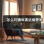 怎么对猫咪表达爱意呢？(图2)