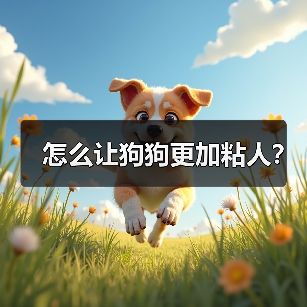 怎么让狗狗更加粘人?(图3) 怎么让狗狗更加粘人?(图3)