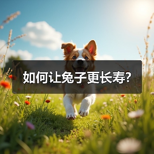 如何让兔子更长寿?(图1) 如何让兔子更长寿?(图1)