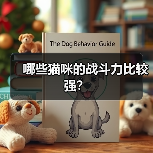 哪些猫咪的战斗力比较强?(图2) 哪些猫咪的战斗力比较强?(图2)