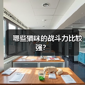 哪些猫咪的战斗力比较强?(图3) 哪些猫咪的战斗力比较强?(图3)