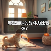 哪些猫咪的战斗力比较强?(图1) 哪些猫咪的战斗力比较强?(图1)
