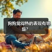 狗狗觉得热的表现有哪些?(图3) 狗狗觉得热的表现有哪些?(图3)