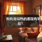 狗狗觉得热的表现有哪些?(图4) 狗狗觉得热的表现有哪些?(图4)