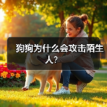 狗狗为什么会攻击陌生人?(图3) 狗狗为什么会攻击陌生人?(图3)