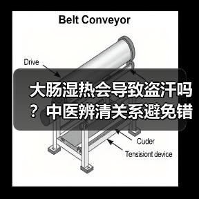 大肠湿热会导致盗汗吗?中医辨清关系避免错调理(图1) 大肠湿热会导致盗汗吗?中医辨清关系避免错调理(图1)