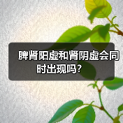 脾肾阳虚和肾阴虚会同时出现吗?(图2) 脾肾阳虚和肾阴虚会同时出现吗?(图2)