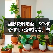 督脉灸调阳虚:3个核心作用+避坑指南,帮你科学改善怕冷疲劳(图4) 督脉灸调阳虚:3个核心作用+避坑指南,帮你科学改善怕冷疲劳(图4)