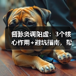 督脉灸调阳虚:3个核心作用+避坑指南,帮你科学改善怕冷疲劳(图2) 督脉灸调阳虚:3个核心作用+避坑指南,帮你科学改善怕冷疲劳(图2)