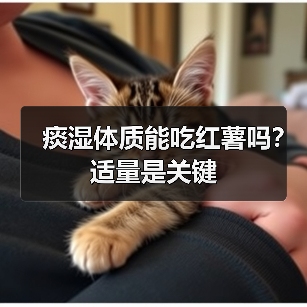 痰湿体质能吃红薯吗?适量是关键(图3) 痰湿体质能吃红薯吗?适量是关键(图3)