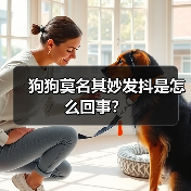 狗狗莫名其妙发抖是怎么回事?(图1) 狗狗莫名其妙发抖是怎么回事?(图1)