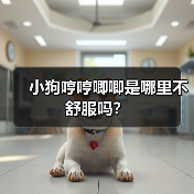 小狗哼哼唧唧是哪里不舒服吗?(图2) 小狗哼哼唧唧是哪里不舒服吗?(图2)