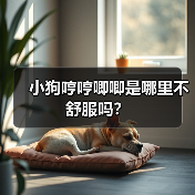 小狗哼哼唧唧是哪里不舒服吗?(图3) 小狗哼哼唧唧是哪里不舒服吗?(图3)