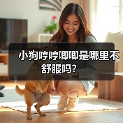 小狗哼哼唧唧是哪里不舒服吗?(图4) 小狗哼哼唧唧是哪里不舒服吗?(图4)