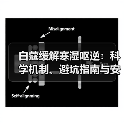 白蔻缓解寒湿呕逆:科学机制、避坑指南与安全用法(图3) 白蔻缓解寒湿呕逆:科学机制、避坑指南与安全用法(图3)