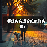 哪些狗狗适合吃低脂狗粮?(图4) 哪些狗狗适合吃低脂狗粮?(图4)