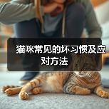 猫咪常见的坏习惯及应对方法(图3) 猫咪常见的坏习惯及应对方法(图3)
