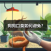 狗狗口臭如何避免?(图3) 狗狗口臭如何避免?(图3)