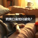 狗狗口臭如何避免?(图4) 狗狗口臭如何避免?(图4)