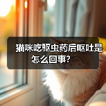 猫咪吃驱虫药后呕吐是怎么回事?(图1) 猫咪吃驱虫药后呕吐是怎么回事?(图1)