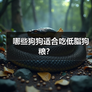 哪些狗狗适合吃低脂狗粮?(图1) 哪些狗狗适合吃低脂狗粮?(图1)