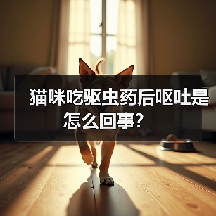 猫咪吃驱虫药后呕吐是怎么回事?(图3) 猫咪吃驱虫药后呕吐是怎么回事?(图3)
