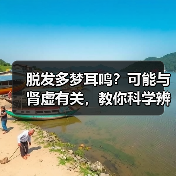 脱发多梦耳鸣?可能与肾虚有关,教你科学辨证调理避误区(图4) 脱发多梦耳鸣?可能与肾虚有关,教你科学辨证调理避误区(图4)