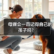 母猫会一直记得自己的孩子吗?(图3) 母猫会一直记得自己的孩子吗?(图3)