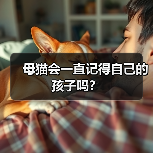 母猫会一直记得自己的孩子吗?(图2) 母猫会一直记得自己的孩子吗?(图2)