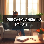 猫咪为什么会模仿主人的行为?(图1) 猫咪为什么会模仿主人的行为?(图1)
