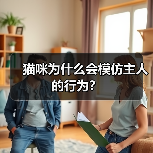 猫咪为什么会模仿主人的行为?(图2) 猫咪为什么会模仿主人的行为?(图2)