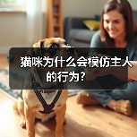 猫咪为什么会模仿主人的行为?(图3) 猫咪为什么会模仿主人的行为?(图3)