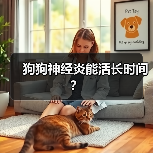 狗狗神经炎能活长时间?(图1) 狗狗神经炎能活长时间?(图1)