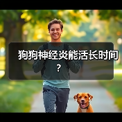 狗狗神经炎能活长时间?(图3) 狗狗神经炎能活长时间?(图3)